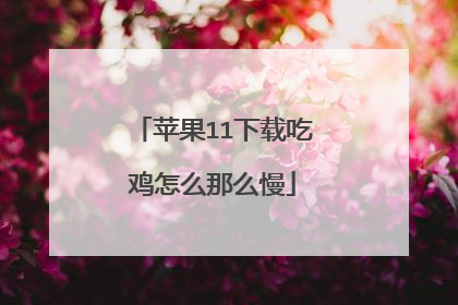 苹果11下载吃鸡怎么那么慢