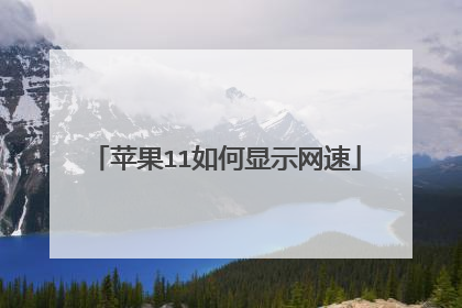 苹果11如何显示网速