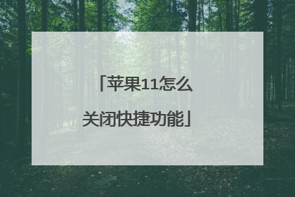 苹果11怎么关闭快捷功能