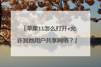 苹果11怎么打开+允许其他用户共享网络?