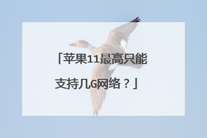 苹果11最高只能支持几G网络?