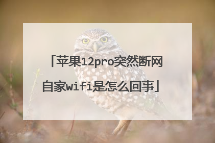 苹果12pro突然断网自家wifi是怎么回事