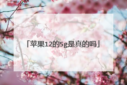 苹果12的5g是真的吗