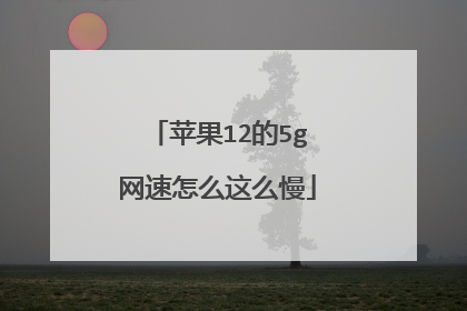 苹果12的5g网速怎么这么慢