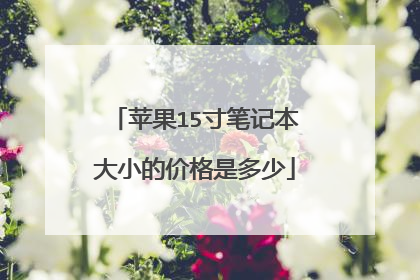 苹果15寸笔记本大小的价格是多少