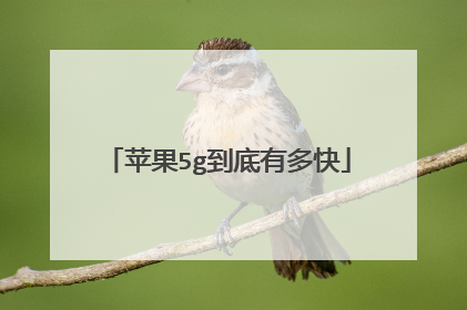 苹果5g到底有多快
