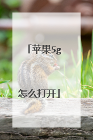 苹果5g怎么打开