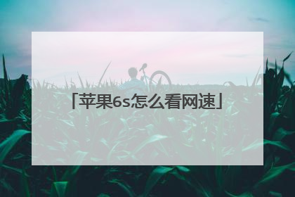 苹果6s怎么看网速