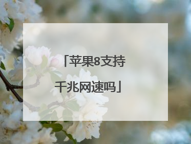 苹果8支持千兆网速吗