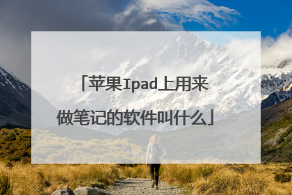 苹果Ipad上用来做笔记的软件叫什么