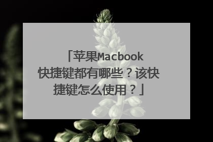 苹果Macbook快捷键都有哪些？该快捷键怎么使用？