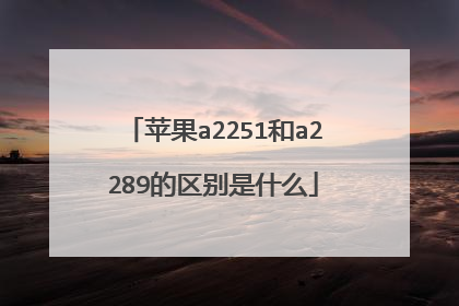 苹果a2251和a2289的区别是什么
