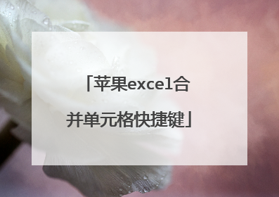 苹果excel合并单元格快捷键