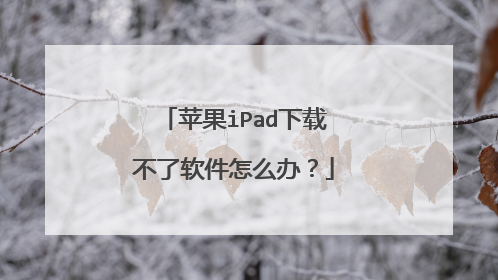 苹果iPad下载不了软件怎么办?