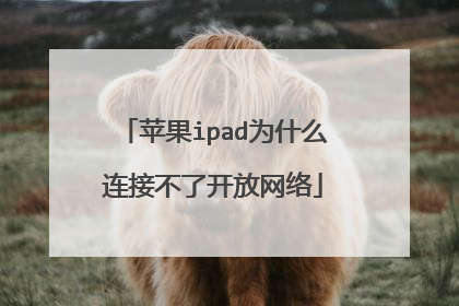苹果ipad为什么连接不了开放网络
