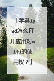 苹果ipad怎么打开应用对wifi的使用权？