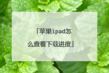 苹果ipad怎么查看下载进度