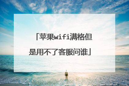 苹果wifi满格但是用不了客服问谁