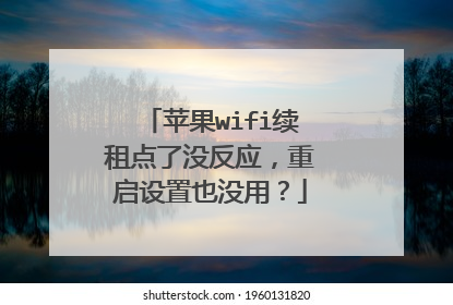 苹果wifi续租点了没反应，重启设置也没用？