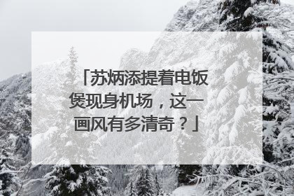 苏炳添提着电饭煲现身机场，这一画风有多清奇？