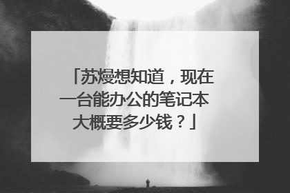 苏熳想知道,现在一台能办公的笔记本大概要多少钱?