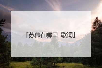 苏伟在哪里 歌词