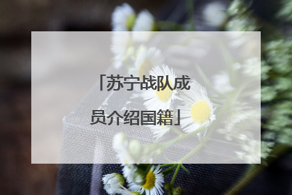 苏宁战队成员介绍国籍