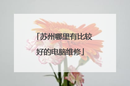 苏州哪里有比较好的电脑维修