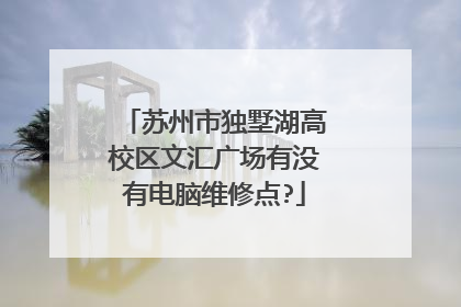 苏州市独墅湖高校区文汇广场有没有电脑维修点?