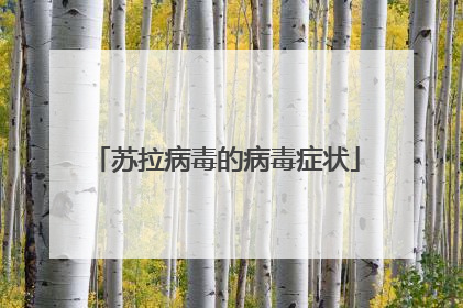 苏拉病毒的病毒症状