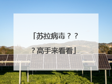 苏拉病毒???高手来看看