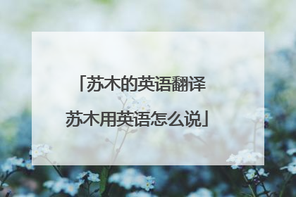 苏木的英语翻译 苏木用英语怎么说