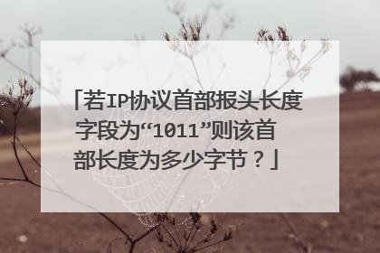 若IP协议首部报头长度字段为“1011”则该首部长度为多少字节?