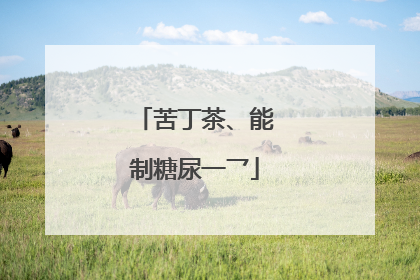 苦丁茶、能制糖尿一乛