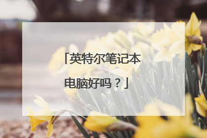 英特尔笔记本电脑好吗？