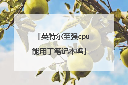 英特尔至强cpu能用于笔记本吗