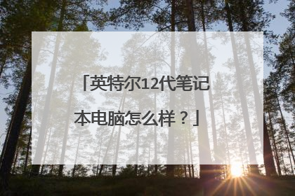 英特尔12代笔记本电脑怎么样?
