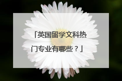 英国留学文科热门专业有哪些？