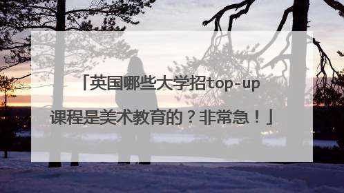 英国哪些大学招top-up课程是美术教育的？非常急！
