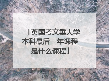 英国考文垂大学本科最后一年课程是什么课程