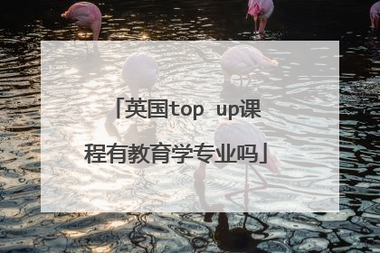 英国top up课程有教育学专业吗