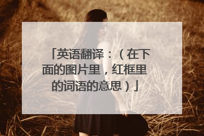 英语翻译：（在下面的图片里，红框里的词语的意思）