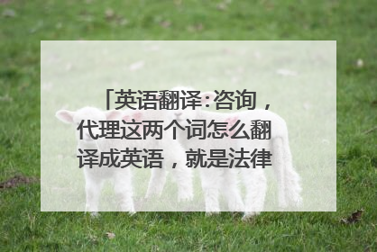 英语翻译:咨询，代理这两个词怎么翻译成英语，就是法律方面的咨询代理，