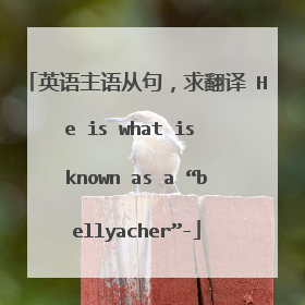 英语主语从句，求翻译 He is what is known as a “bellyacher”-