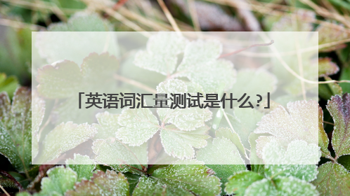 英语词汇量测试是什么?