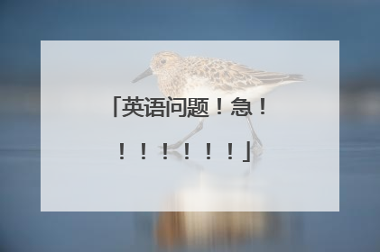 英语问题!急!!!!!!!