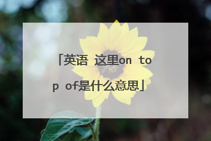 英语 这里on top of是什么意思