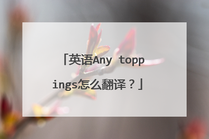 英语Any toppings怎么翻译?