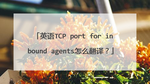 英语TCP port for inbound agents怎么翻译？