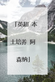 英超 本土培养 阿森纳